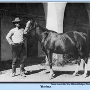 RASIMA