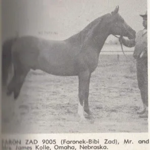 FARON ZAD