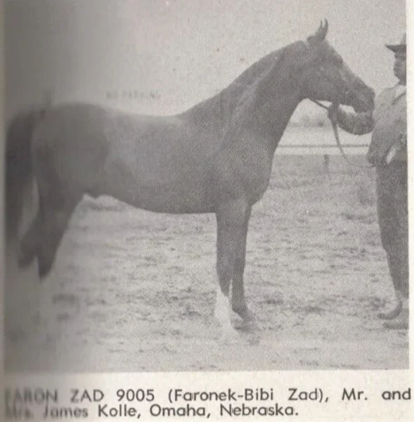 FARON ZAD