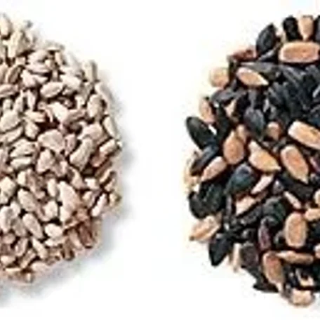 Variations of Bird Feed - what, when, how much, why...