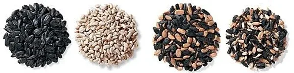 Variations of Bird Feed - what, when, how much, why...