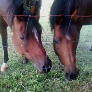 ellie on left lacey on right