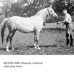 Silver Fire