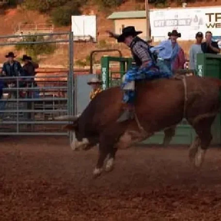 Real Old Fashioned Fair in El Dorado, California. If you hanker for the days when a home town fair included all the good and natural parts of life come enjoy our amazing weather, wonderful people, and hilarious and thrilling events!