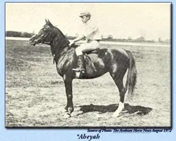 *Abeyah