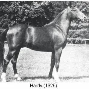 HARDY