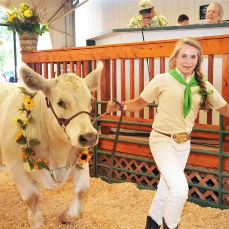 Real Old Fashioned Fair in El Dorado, California. If you hanker for the days when a home town fair included all the good and natural parts of life come enjoy our amazing weather, wonderful people, and hilarious and thrilling events!