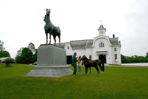 So, You Want To Buy A Horse Farm! Part 4 (Finances)
