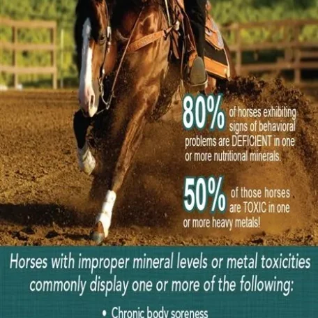 Horse Hair Analysis - read all about it!