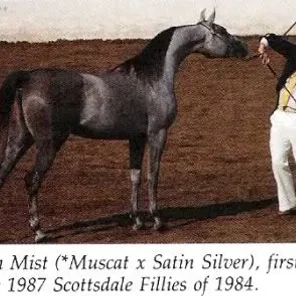 Satin Mist