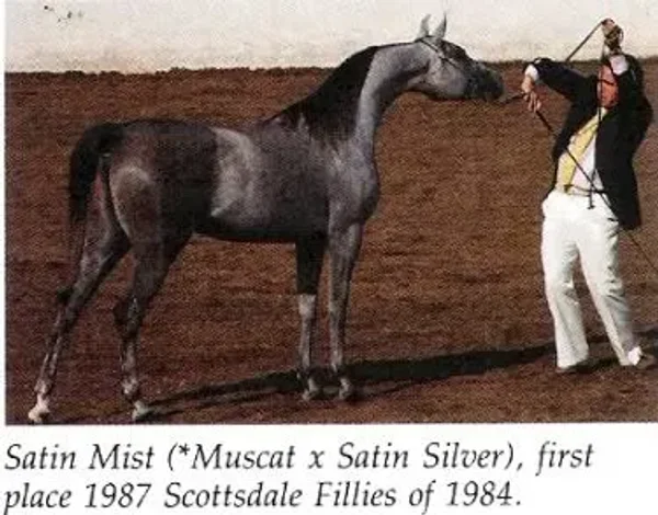 Satin Mist