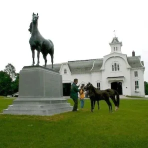 So, You Want To Buy A Horse Farm! Part 2 (Finances)