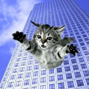 High-Rise Syndrome - 9 Lives Doesn't Count!