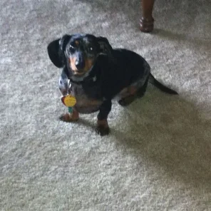 Roxy
