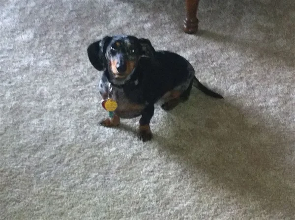 Roxy