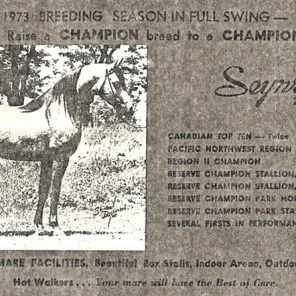 Seynri