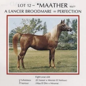 Maather