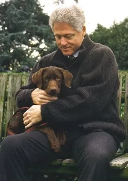 Our U.S. Presidents and some their Pets