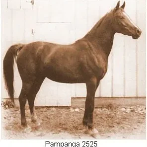 Pampanga