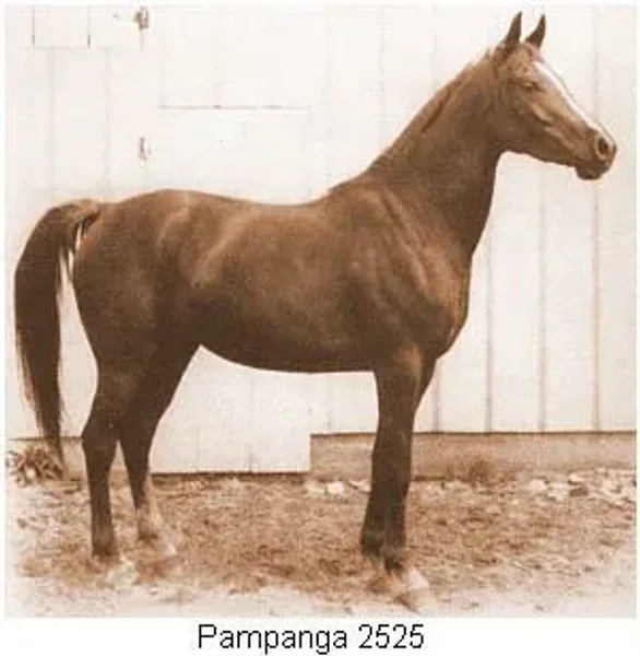 Pampanga