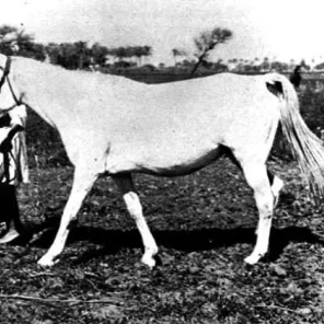 Ghazala