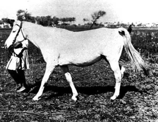 Ghazala