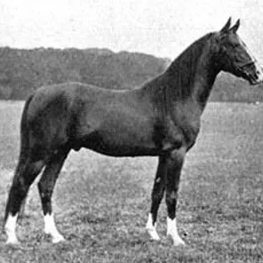 Razaz