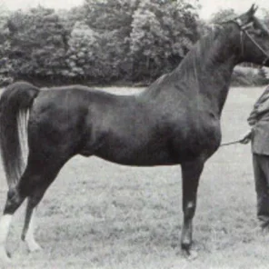 Manto