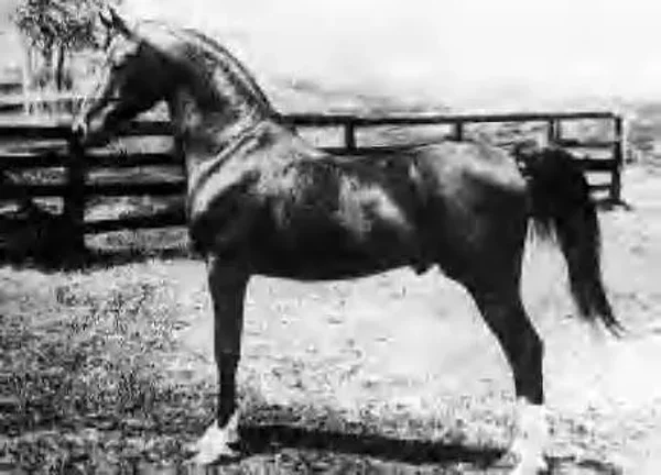 Berk