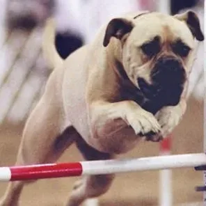 Agility Part 3 - Tracking