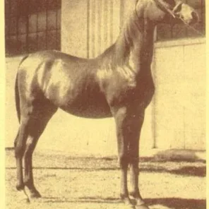 GHANSHAB