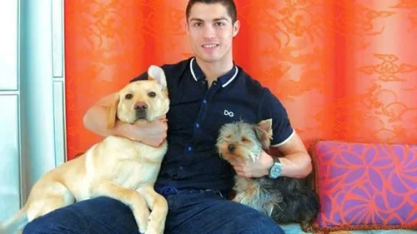 Some of Hollywood's Biggest Stars and a Few of Their Pets