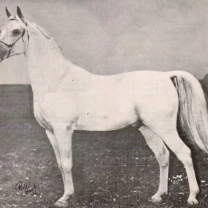 HANDEYRAFF