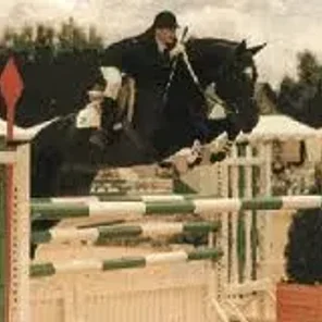 Hungarian Warmblood