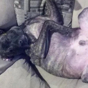 Buster