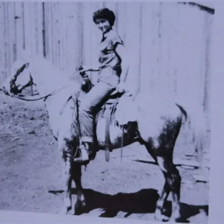 Basim (Raseyn x Ferdana) grey stallion, foaled September 22, 1945
bred by United States Government