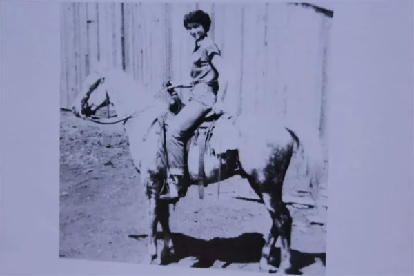 Basim (Raseyn x Ferdana) grey stallion, foaled September 22, 1945
bred by United States Government
