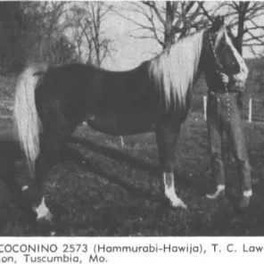 coconino