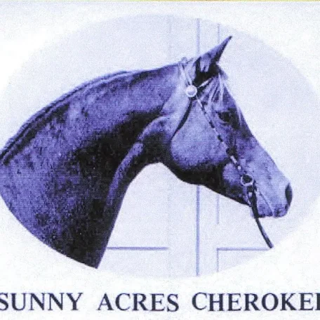 Sunny Acres Cherokee