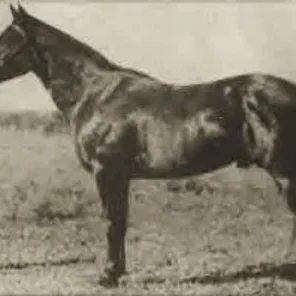 Harmon Baker