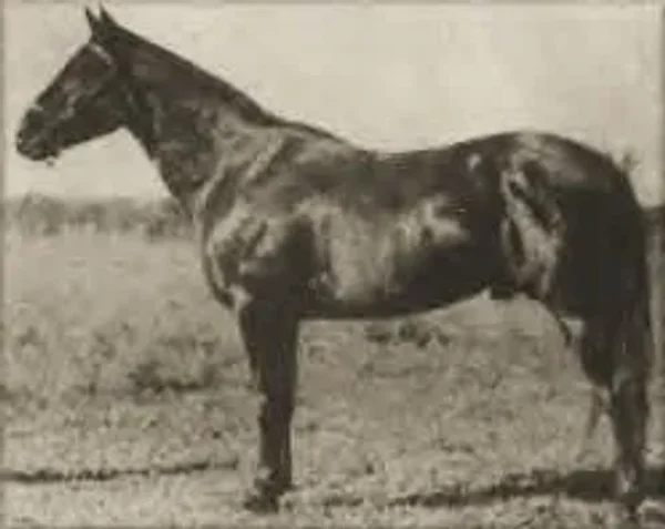 Harmon Baker