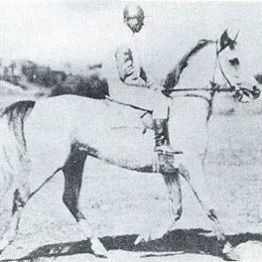 KONFEDERACJA