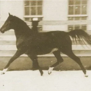 MAHROUSSA