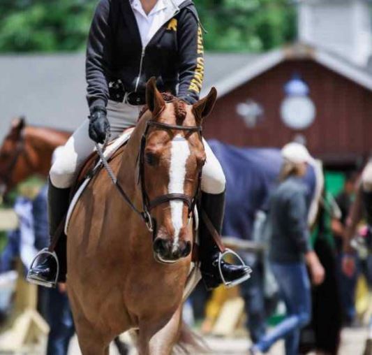 The Bane Of Selling A Horse