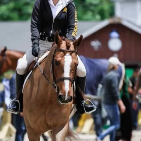The Bane Of Selling A Horse