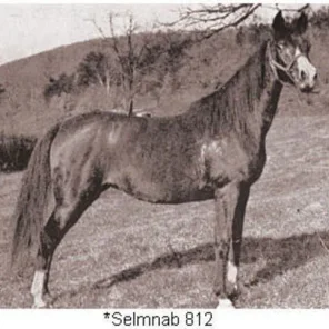 SELMNAB