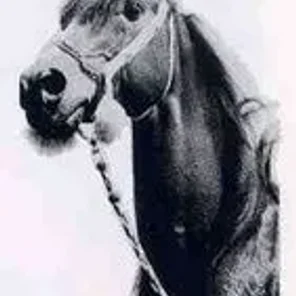 NUREDDIN