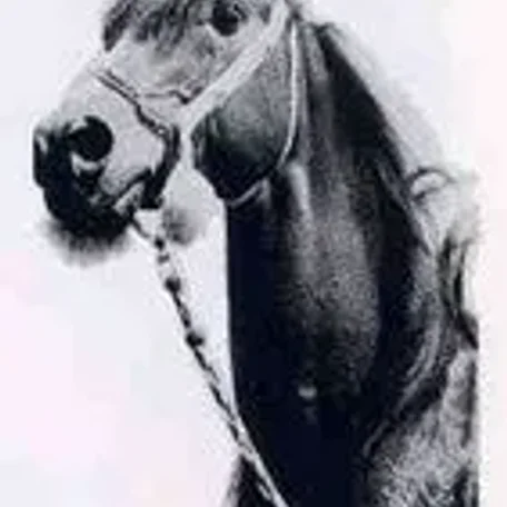 NUREDDIN