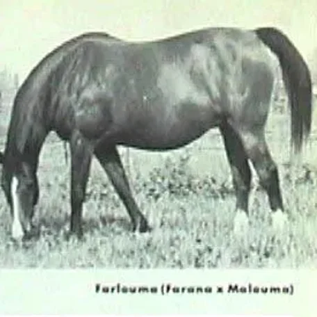 Farlouma