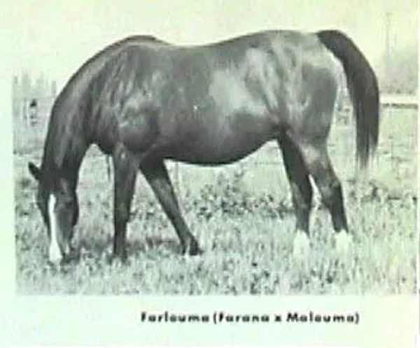 Farlouma